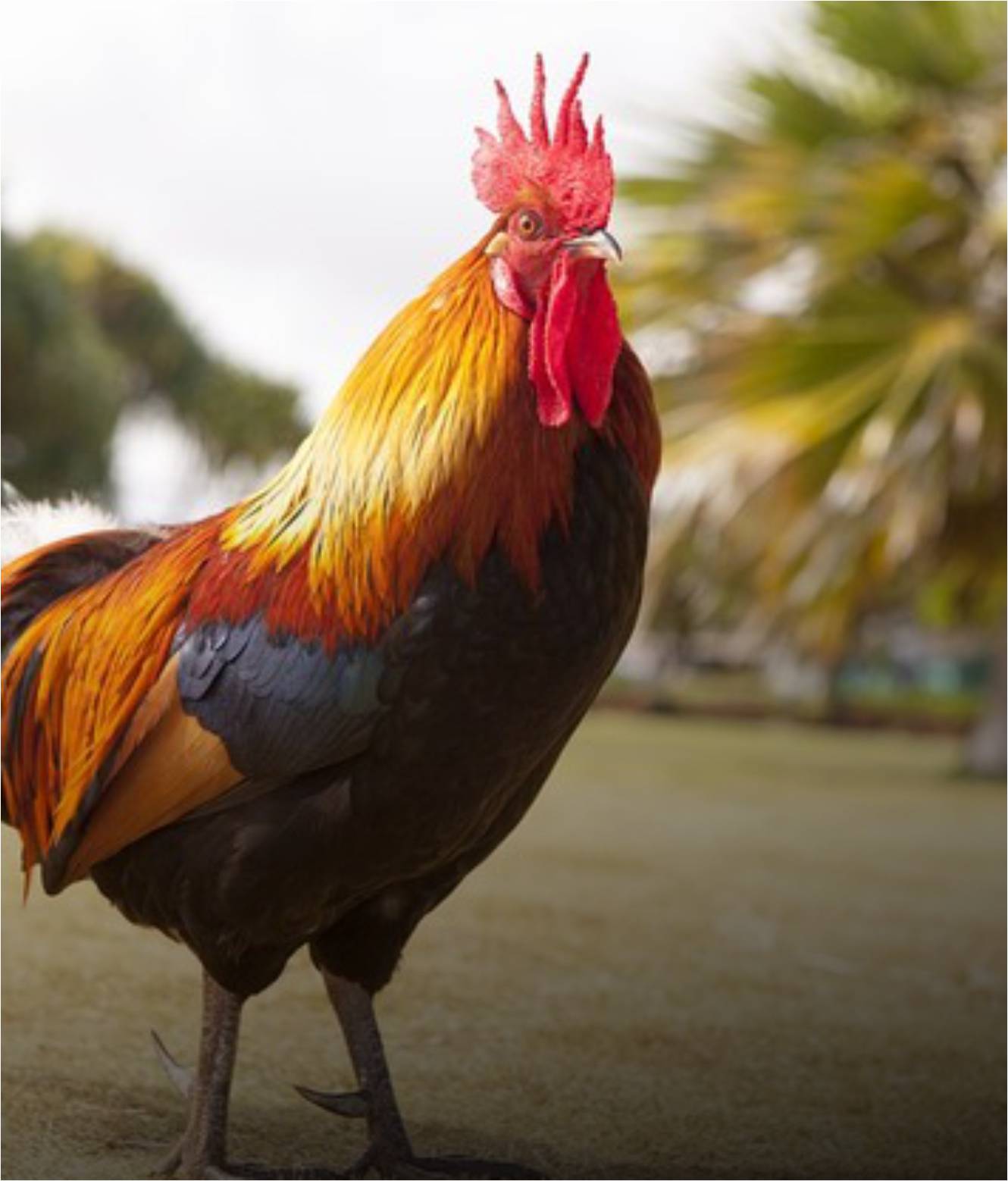 Generic placeholder image